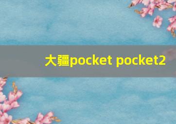 大疆pocket pocket2